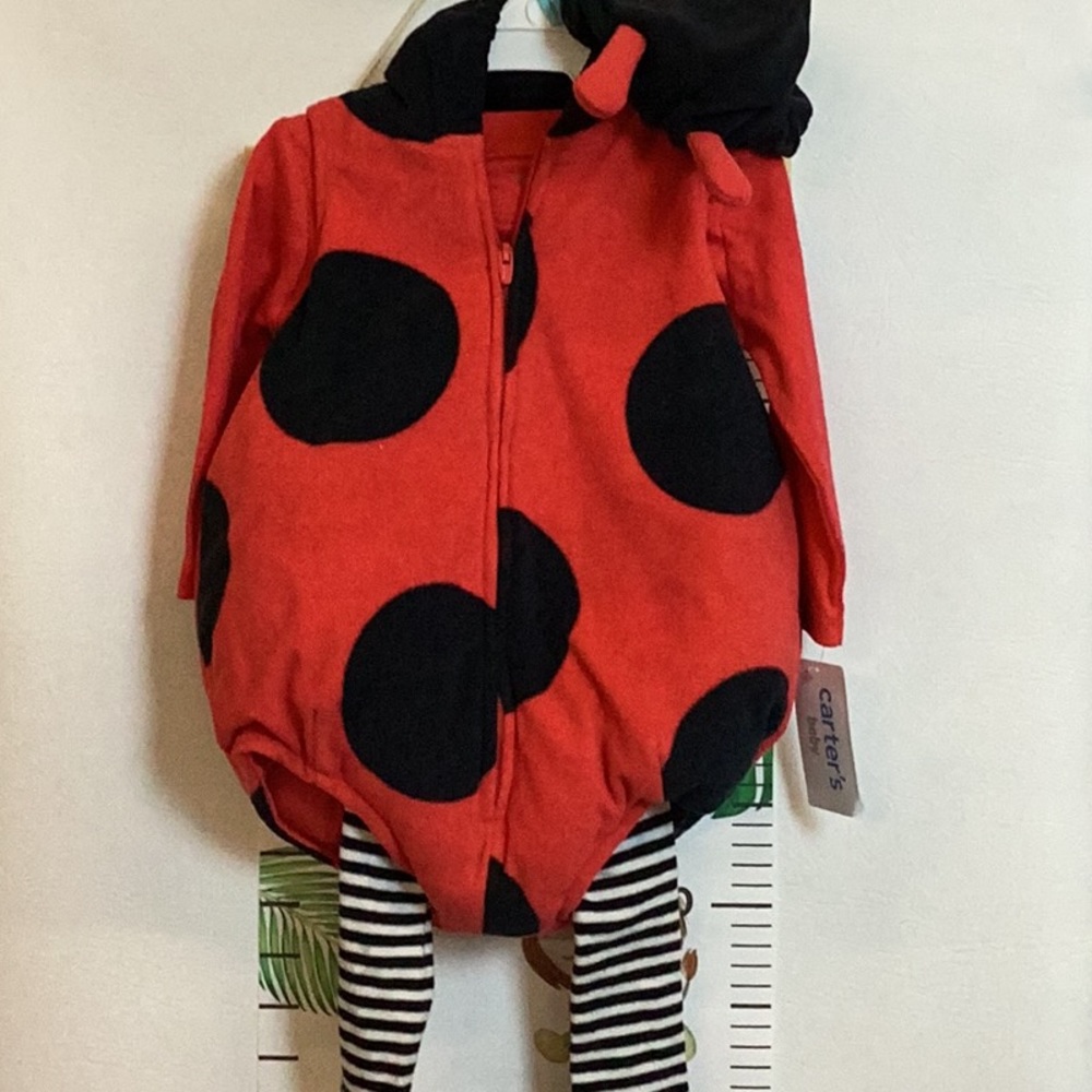 Baby Ladybug Costume by Carters